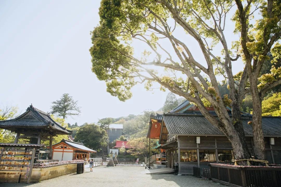 大阪｜你错过了这座带仙气儿的寺庙，以及跳蚤市场和潮牌一条街…