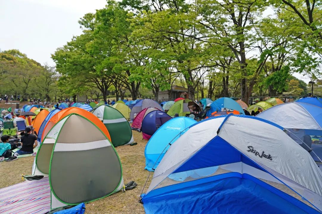 大阪|你错过了这座带仙气儿的寺庙,以及跳蚤市场和潮牌一条街…