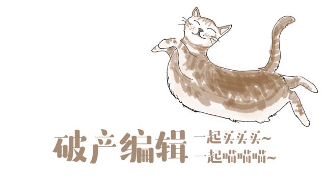 天啦噜!我终于活成了考察退休地的中年少女