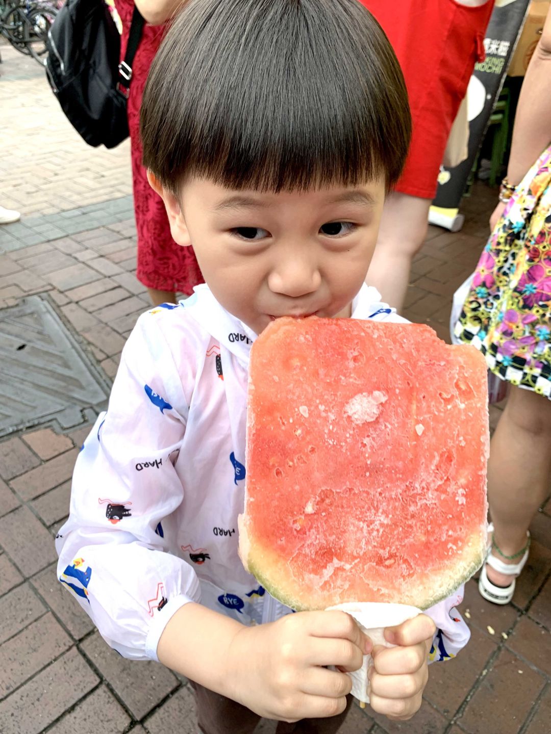 天啦噜!我终于活成了考察退休地的中年少女