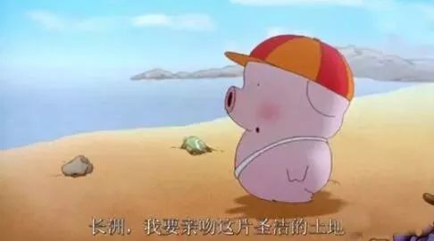 天啦噜!我终于活成了考察退休地的中年少女