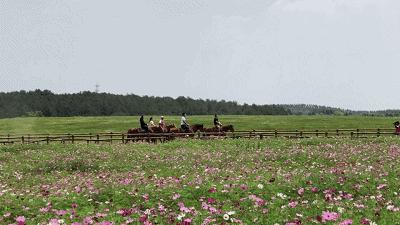 优惠活动喜迎六一赢好礼,六一特惠福利