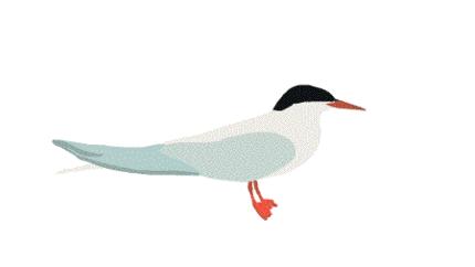 提升养老院服务水平改善服务质量,助力养老服务高质量发展