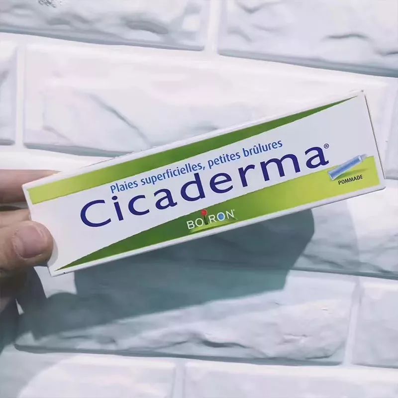 嗡嗡嗡,你真烦。