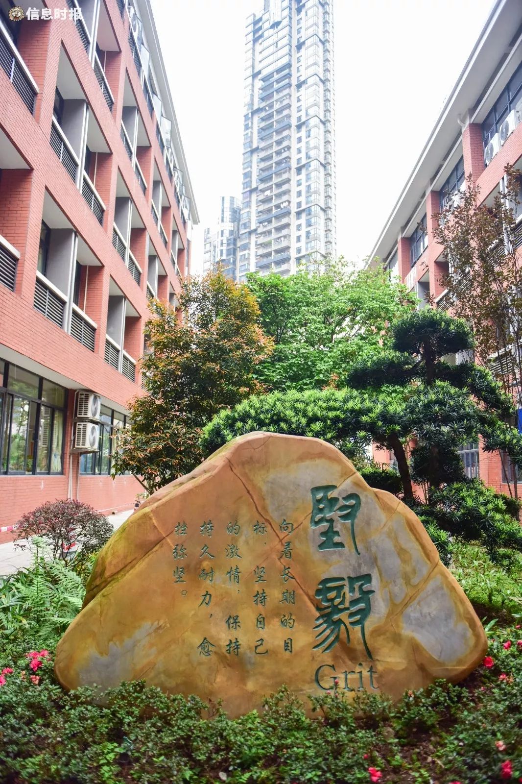 深调研|广州市天河外国语学校：后起之秀，如何实现弯道超车？