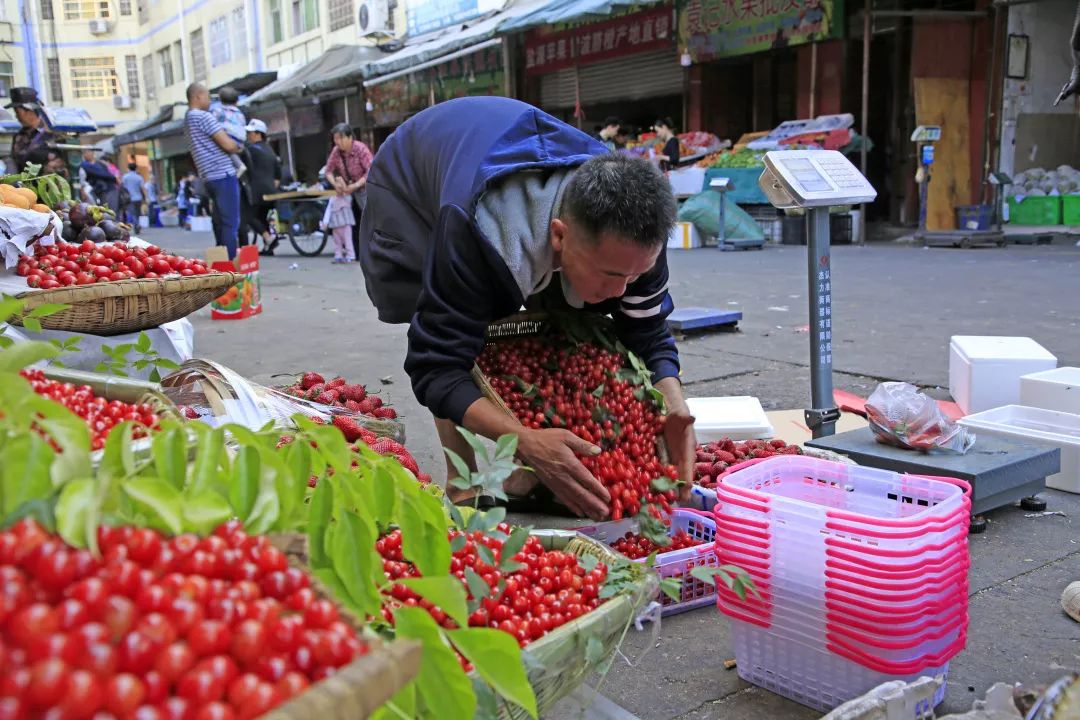 西昌时令水果,缤纷水果季献给爱吃水果的你