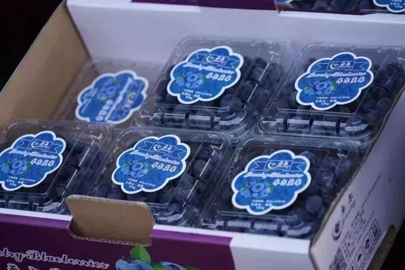 西昌时令水果,缤纷水果季献给爱吃水果的你