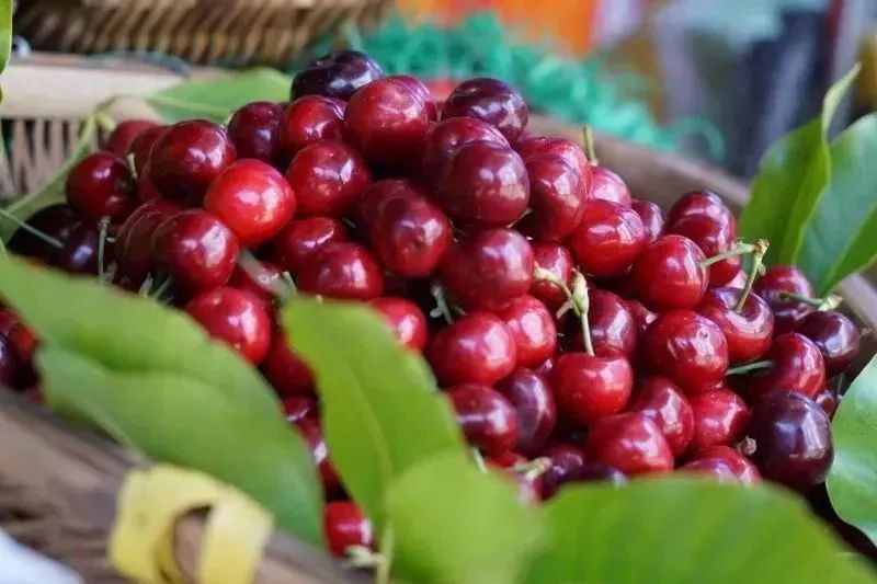 西昌时令水果,缤纷水果季献给爱吃水果的你