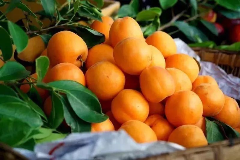 西昌时令水果,缤纷水果季献给爱吃水果的你