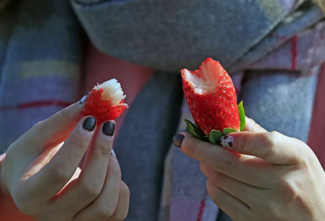 西昌时令水果,缤纷水果季献给爱吃水果的你