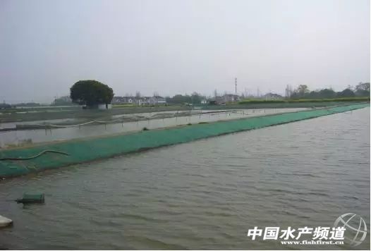 养虾九字真经,养蟹高手