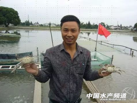 养虾九字真经,养蟹高手