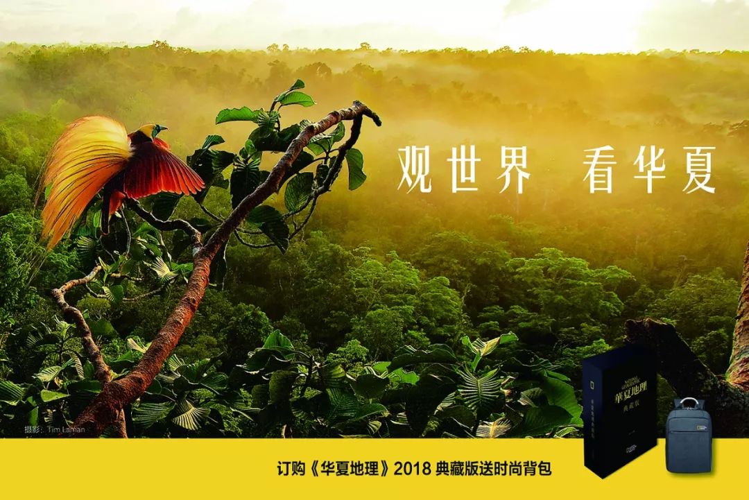 柬埔寨吴哥窟旅行最全攻略,柬埔寨吴哥窟可以去吗