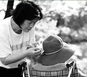 写梅子的诗句,写梅子诗句