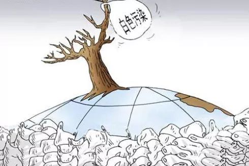 【环保小讲堂】|远离“白色污染”，共护绿水青山