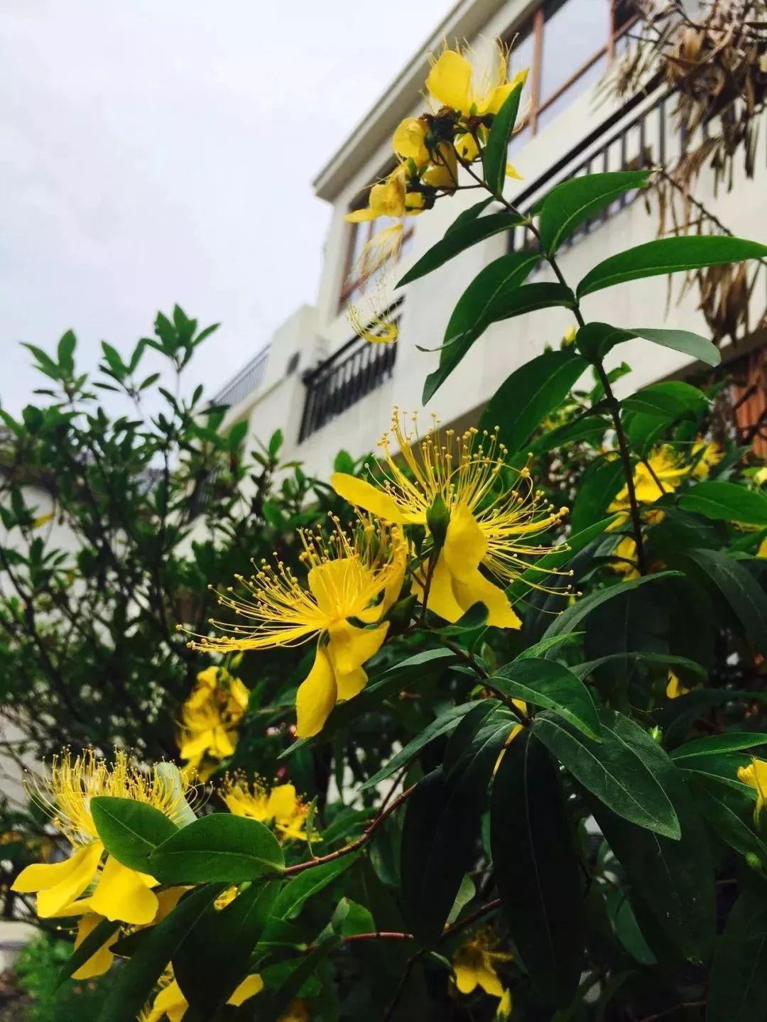 碧海蓝天三亚湾民宿,一间与海零距离的海景民宿