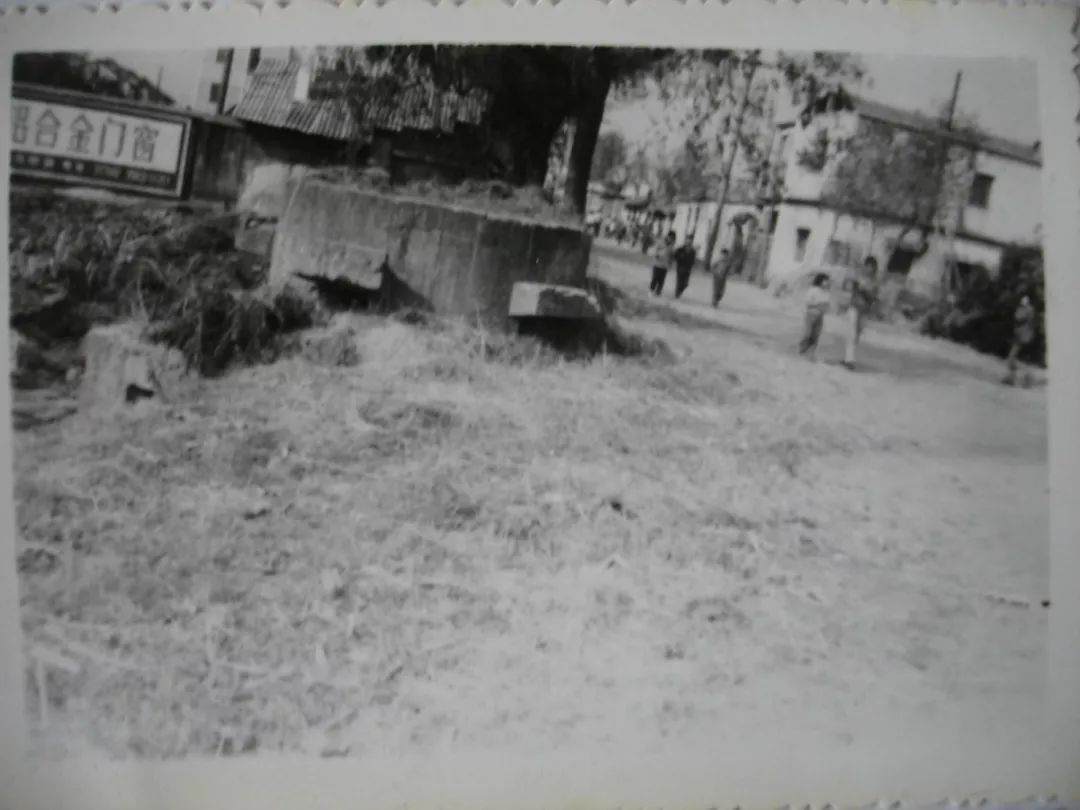 上海月浦战役,上海战役月浦战斗地图