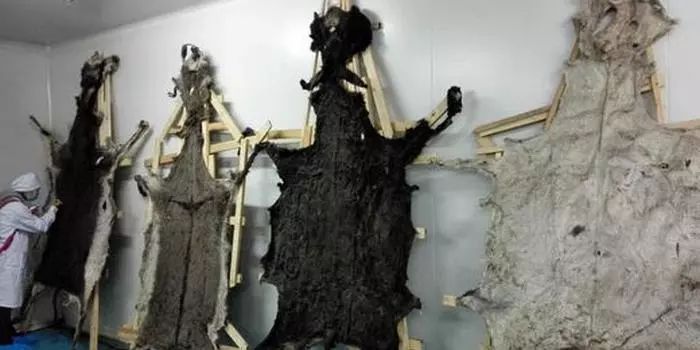 42宀佸ぇs淇濆吇绉樿瘈,43宀佺殑澶鎬庝箞淇濆吇