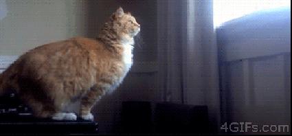 总是找不到遥控器有什么解决办法,总是找不到空调遥控器怎么办