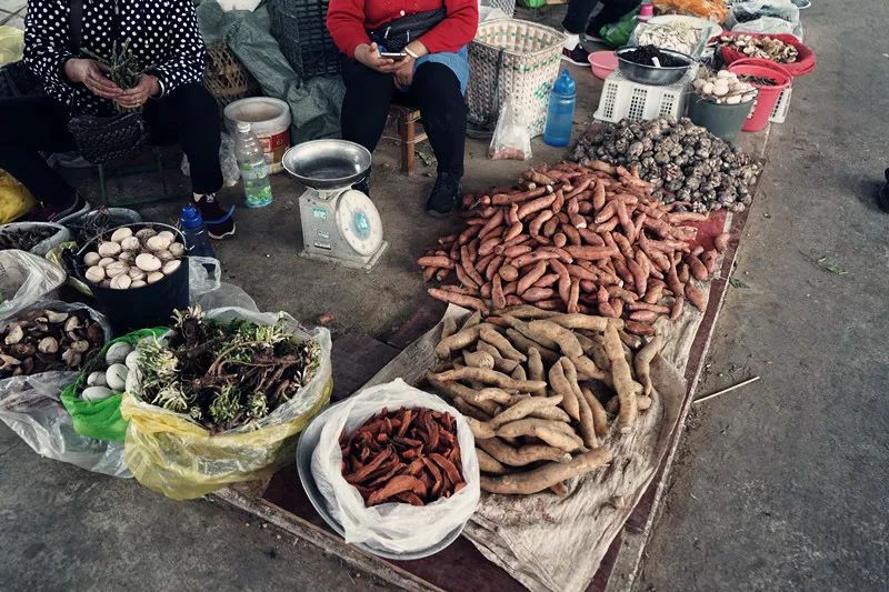 从丽江到茨中：菜场买恶魔果实、修道院酿酒士、高原油泼面……开启了无数的第一次|香格里拉环线（上）