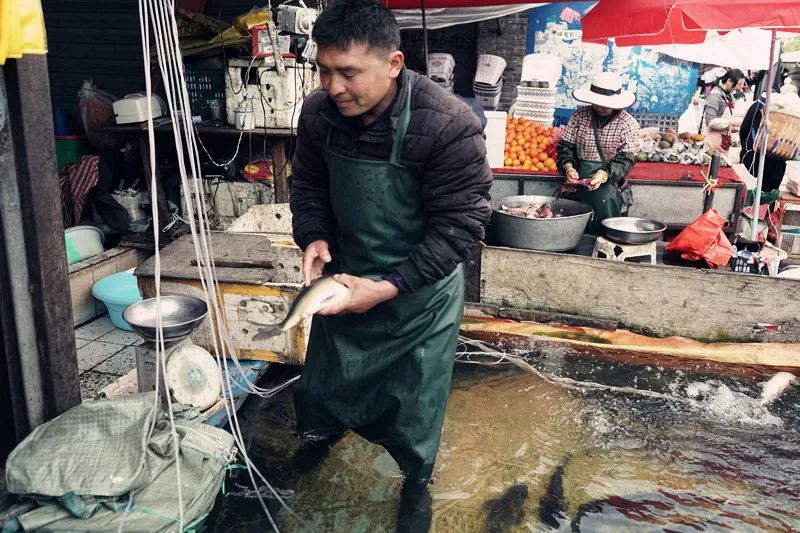 从丽江到茨中：菜场买恶魔果实、修道院酿酒士、高原油泼面……开启了无数的第一次|香格里拉环线（上）