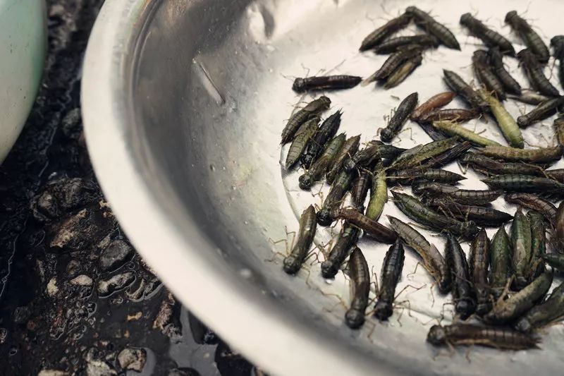 从丽江到茨中：菜场买恶魔果实、修道院酿酒士、高原油泼面……开启了无数的第一次|香格里拉环线（上）