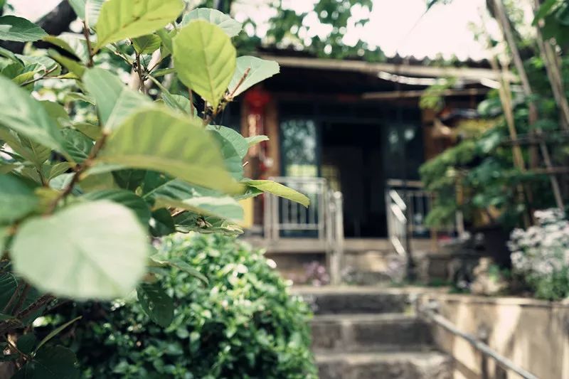 从丽江到茨中：菜场买恶魔果实、修道院酿酒士、高原油泼面……开启了无数的第一次|香格里拉环线（上）