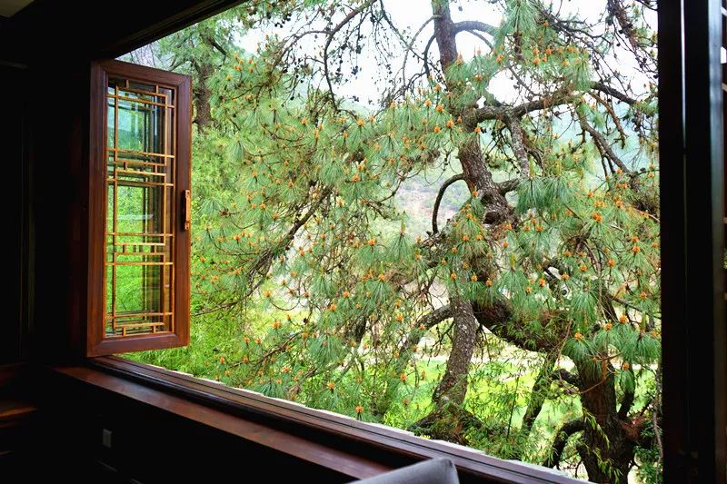 从丽江到茨中：菜场买恶魔果实、修道院酿酒士、高原油泼面……开启了无数的第一次|香格里拉环线（上）