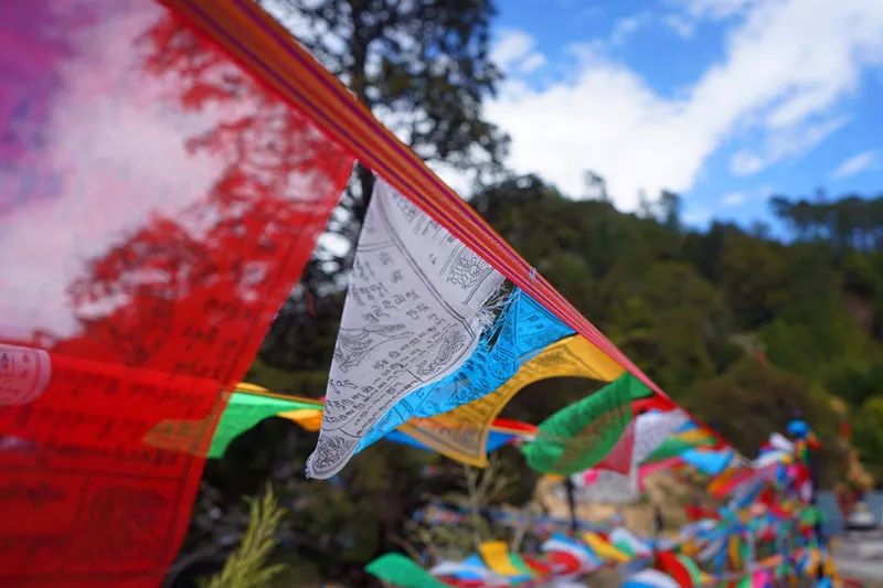 从丽江到茨中：菜场买恶魔果实、修道院酿酒士、高原油泼面……开启了无数的第一次|香格里拉环线（上）