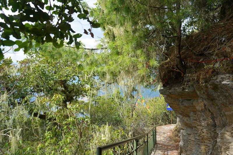 从丽江到茨中：菜场买恶魔果实、修道院酿酒士、高原油泼面……开启了无数的第一次|香格里拉环线（上）