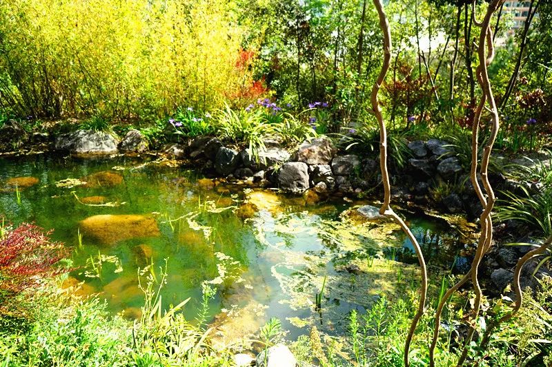 从丽江到茨中：菜场买恶魔果实、修道院酿酒士、高原油泼面……开启了无数的第一次|香格里拉环线（上）