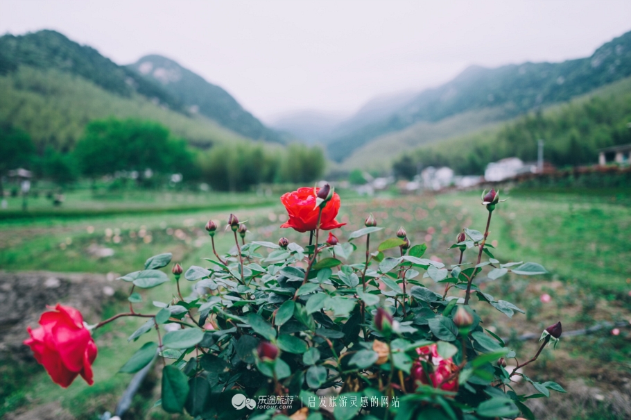 安徽南部三大名山,这就是隐藏在大山里的世外桃源