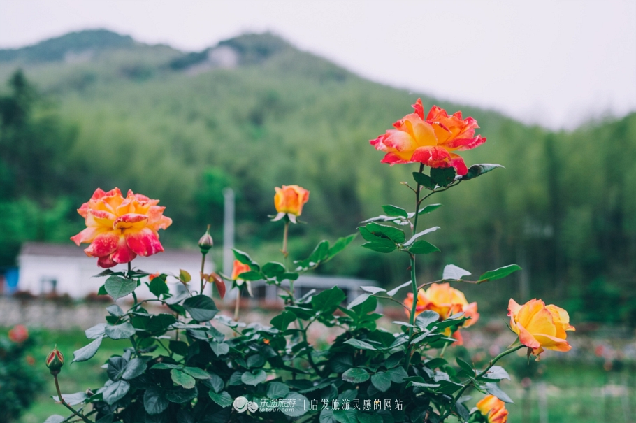 安徽南部三大名山,这就是隐藏在大山里的世外桃源