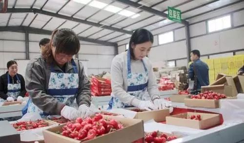 澶╂按绉﹀窞澶фū妗冪孩閫忓崐杈瑰ぉ,鐢樿們澶╂按绉﹀窞寰愬灞卞ぇ妯辨