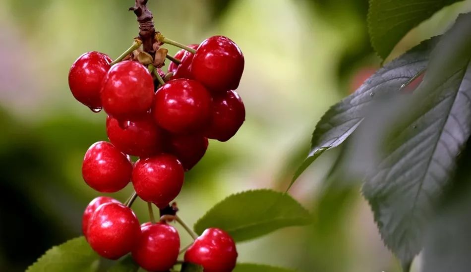 澶╂按绉﹀窞澶фū妗冪孩閫忓崐杈瑰ぉ,鐢樿們澶╂按绉﹀窞寰愬灞卞ぇ妯辨