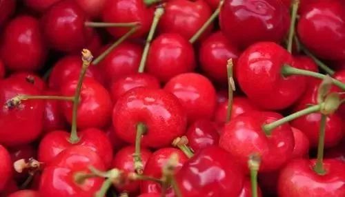 澶╂按绉﹀窞澶фū妗冪孩閫忓崐杈瑰ぉ,鐢樿們澶╂按绉﹀窞寰愬灞卞ぇ妯辨