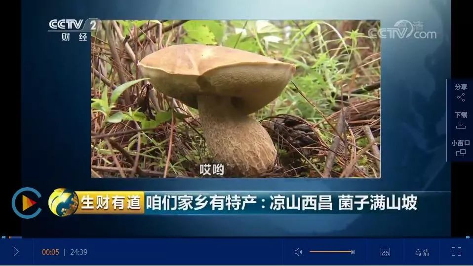 新闻联播等央视栏目,一年聚焦西昌N次,西昌狂谢“央妈”的爱!