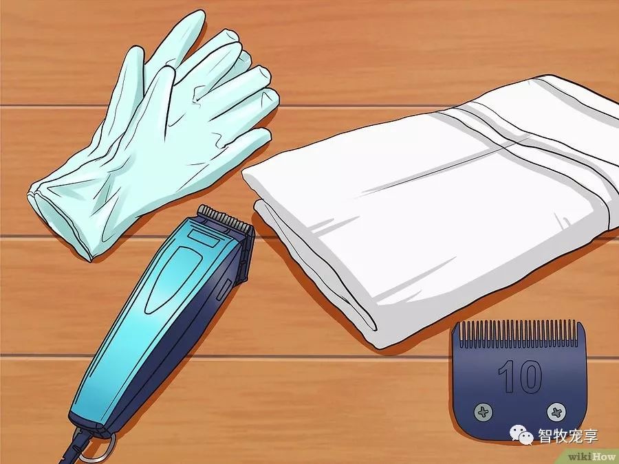 铲屎官如何利用猫毛,给猫剃毛用什么推子比较好