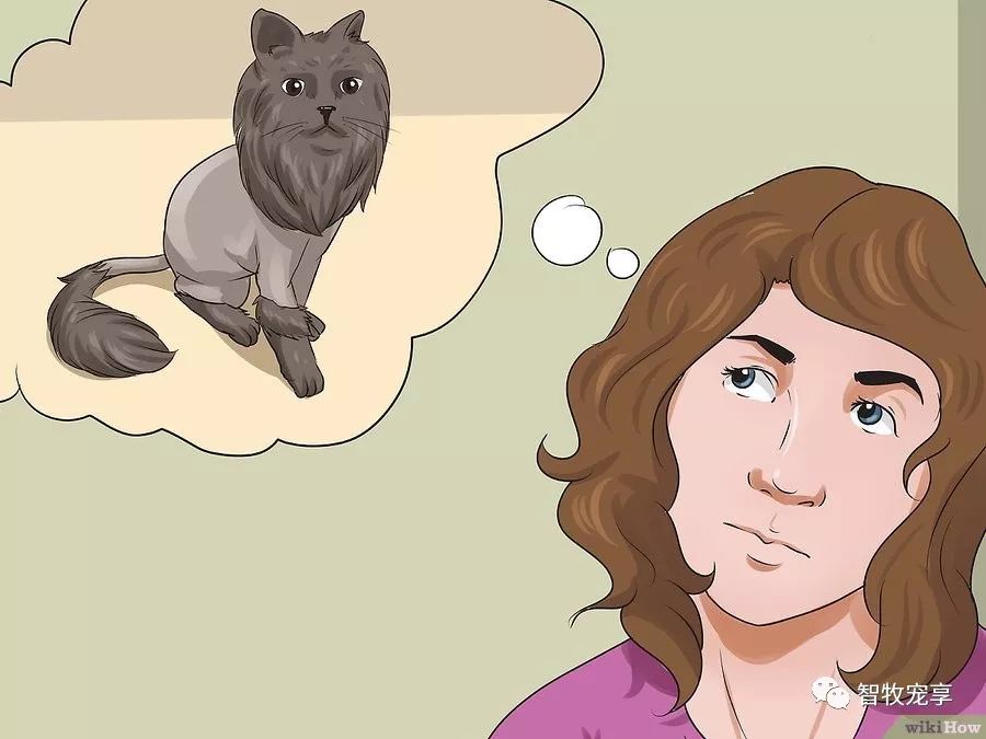 铲屎官如何利用猫毛,给猫剃毛用什么推子比较好