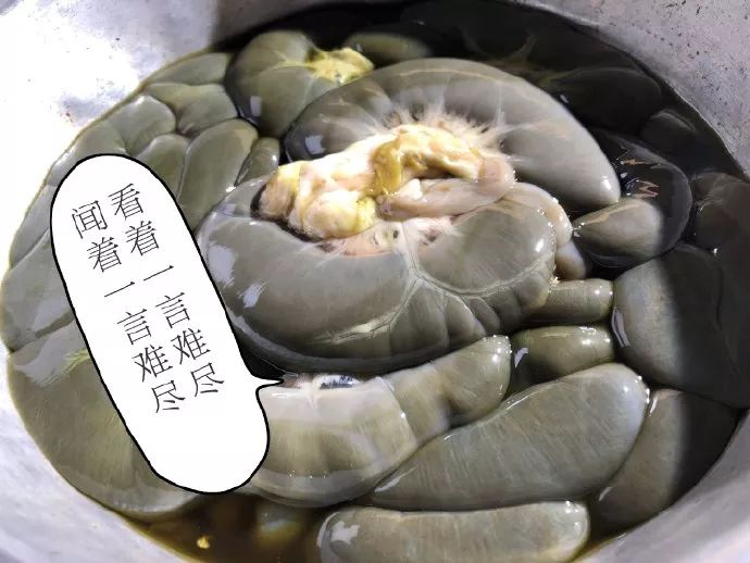 中国早餐第一季的羊瘪粉,你敢吃吗原版视频