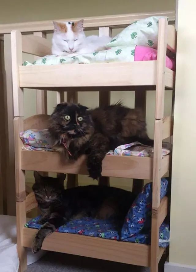 宜家必买收纳玩具,宜家必买宜家碗筷清单