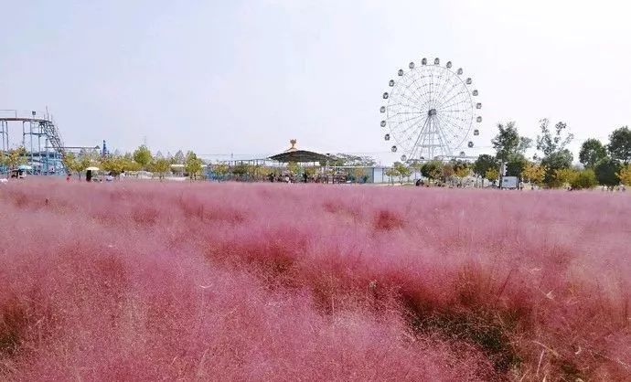 孝感到底有多惊艳,湖北孝感有什么特色