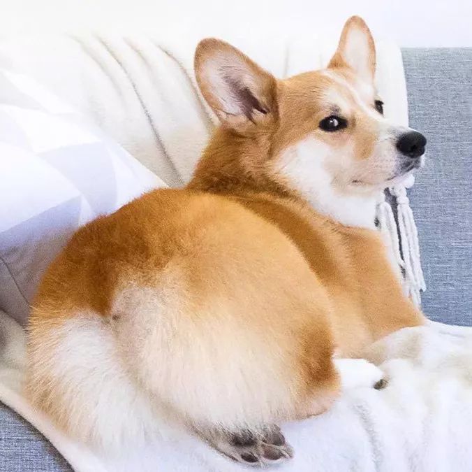 为什么有人把朋友圈设成三天可见,微信怎样把一个人设成三天可见