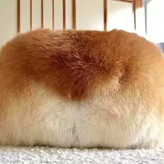 为什么有人把朋友圈设成三天可见,微信怎样把一个人设成三天可见