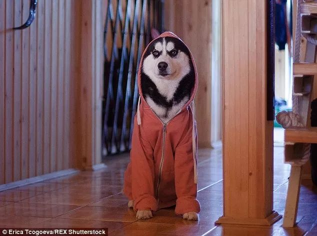 为什么有人把朋友圈设成三天可见,微信怎样把一个人设成三天可见