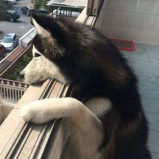 为什么有人把朋友圈设成三天可见,微信怎样把一个人设成三天可见