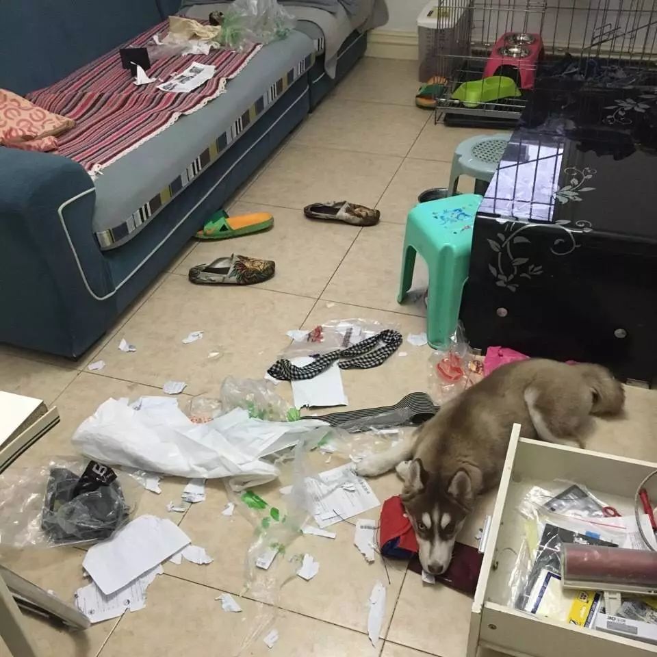 为什么有人把朋友圈设成三天可见,微信怎样把一个人设成三天可见