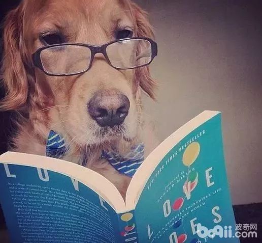 为什么有人把朋友圈设成三天可见,微信怎样把一个人设成三天可见