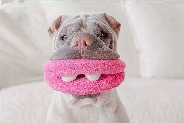 为什么有人把朋友圈设成三天可见,微信怎样把一个人设成三天可见