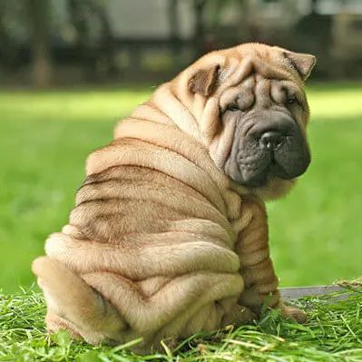 为什么有人把朋友圈设成三天可见,微信怎样把一个人设成三天可见